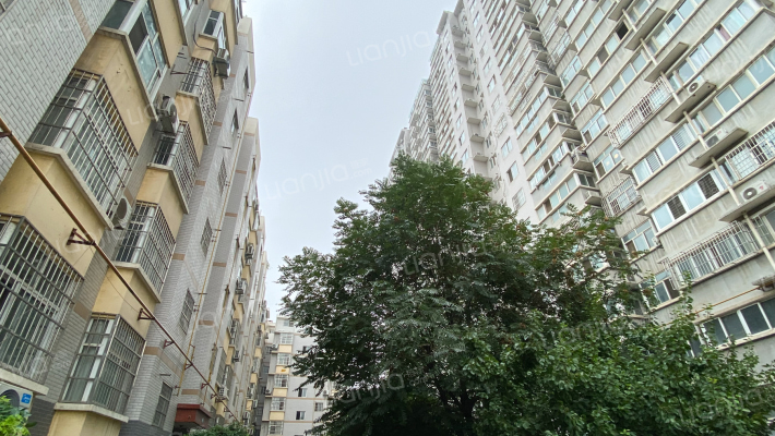 东方绿洲外景图