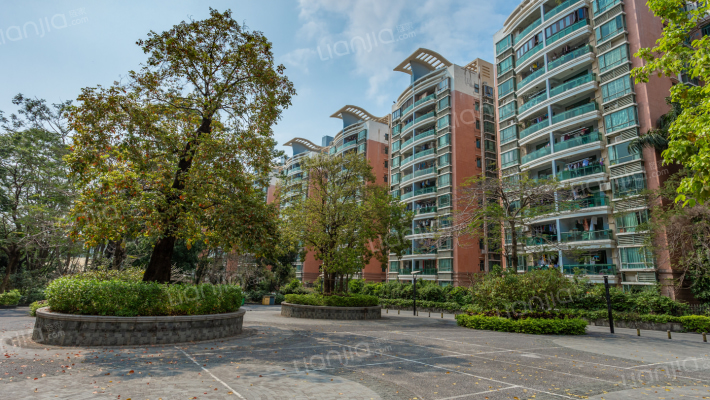 桃源居十三区外景图