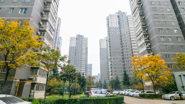 南窑村新家园外景图