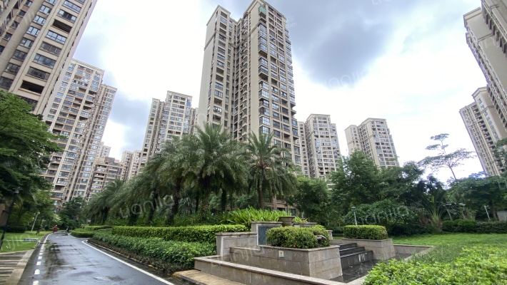 绿地海森林外景图