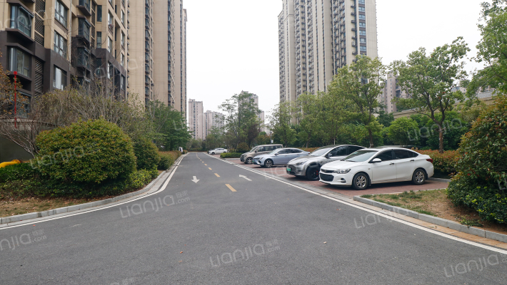 新居棠悦花园北园外景图