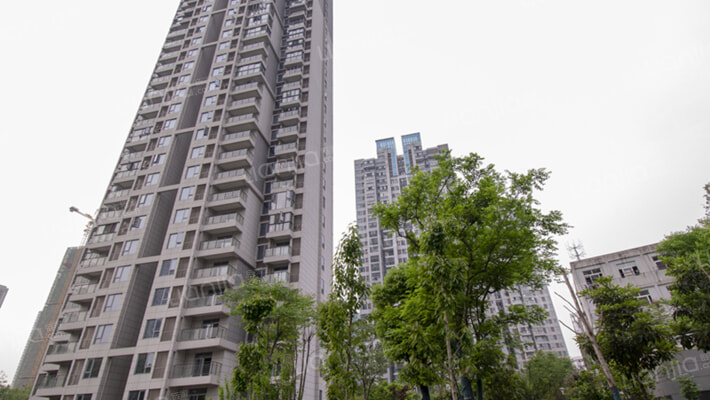 凯乐桂园外景图