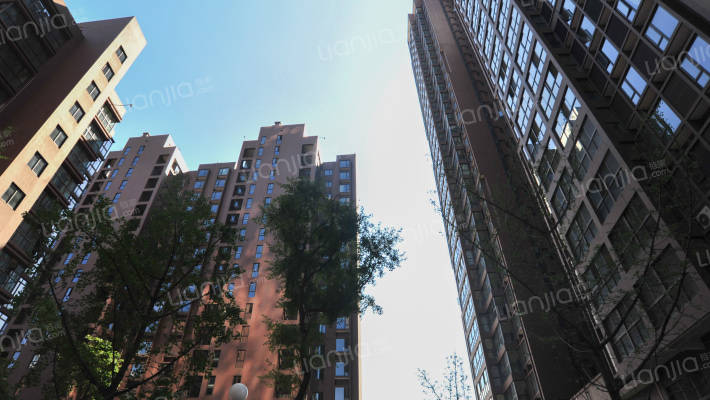 新雨香沁外景图