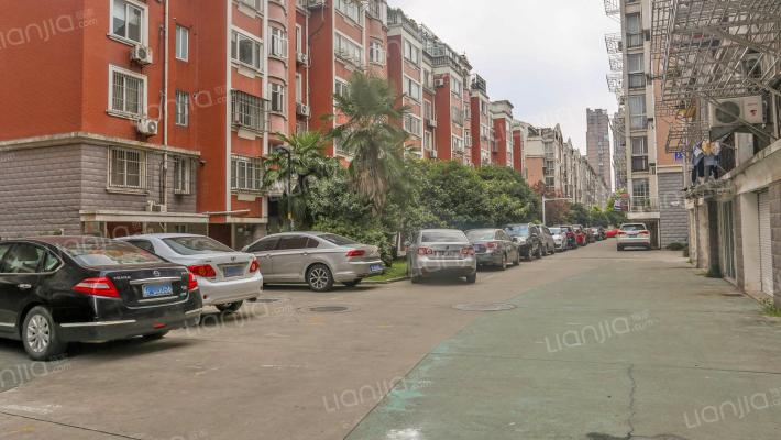 中南俪园外景图