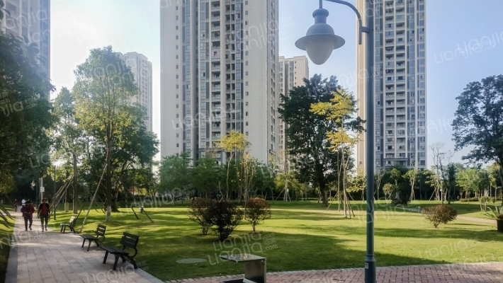 金凤苑B区外景图