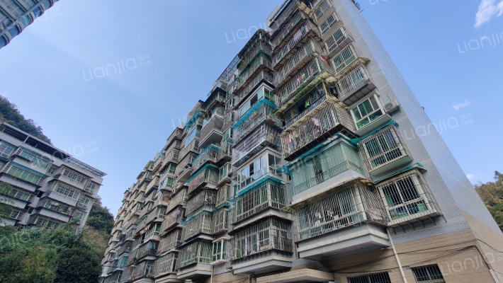 翠华金都外景图