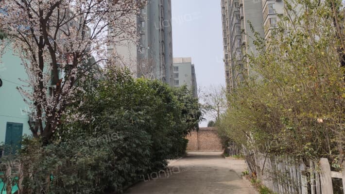 碧云天花园外景图