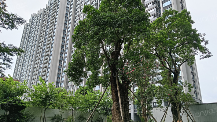 五洲家园二期外景图