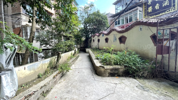 鹿冲关路36号外景图