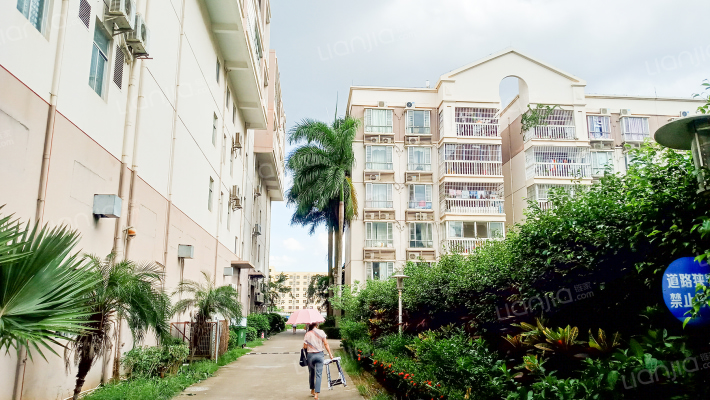 西秀绿洲外景图