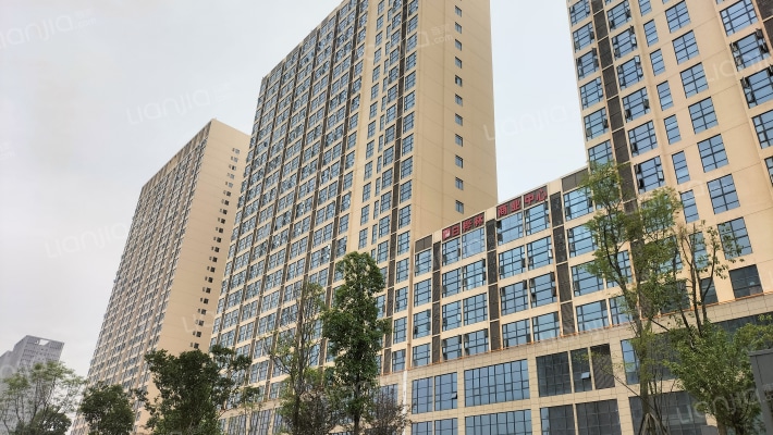 幸福东方白桦林外景图