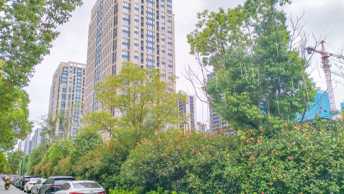 龙渡广场外景图