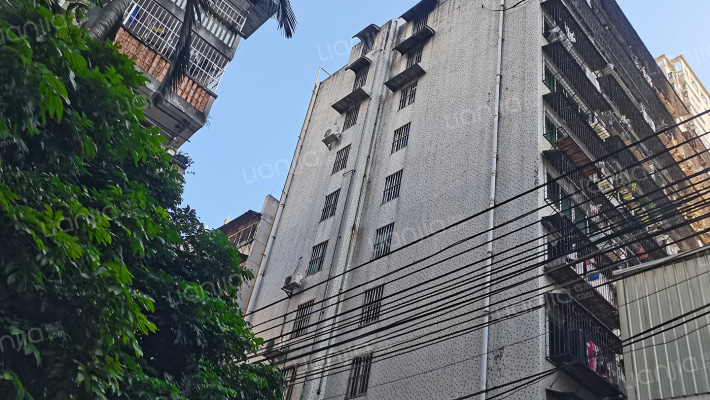 广西木偶剧团外景图