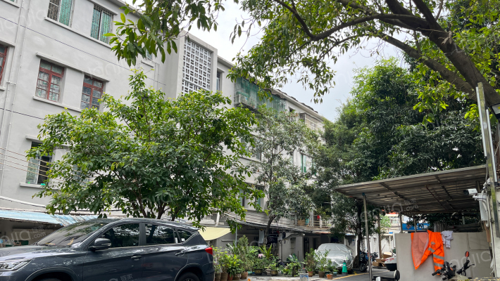 走马岗铁路宿舍外景图