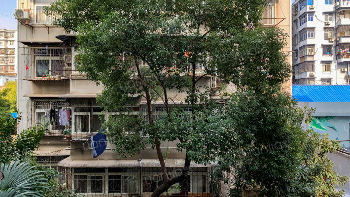 粮道街163号外景图