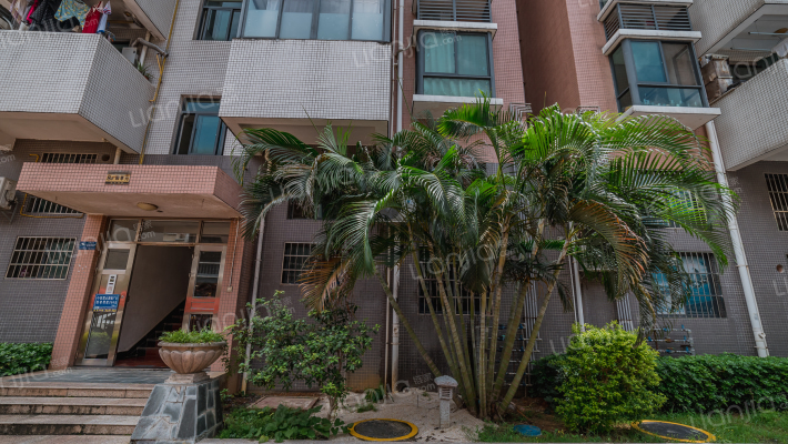 鑫丰丽景东区外景图