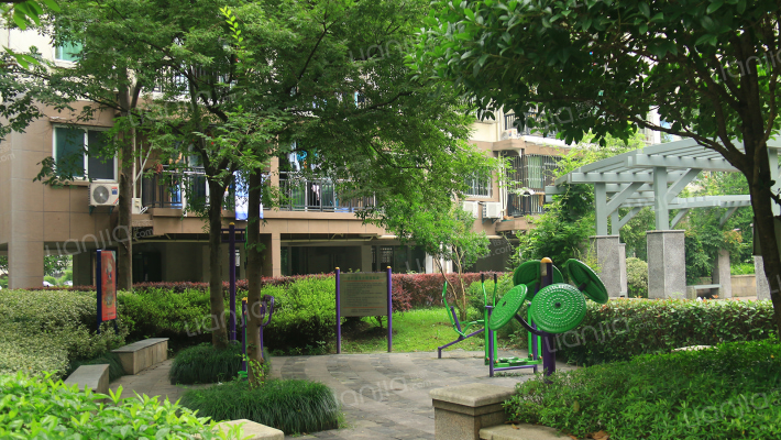 三塘菊园外景图