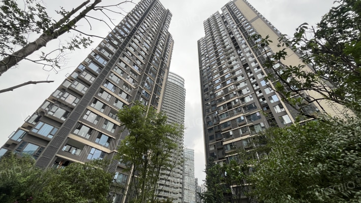 普得先锋国际外景图