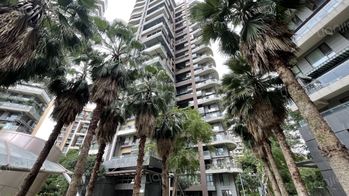 麓山国际云堤曦岸外景图