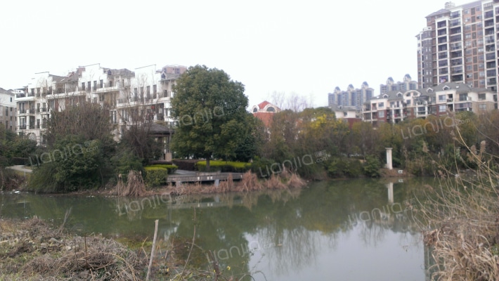 泰跃金河外景图