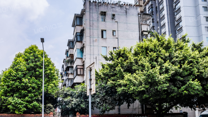 新阳路217号小区外景图