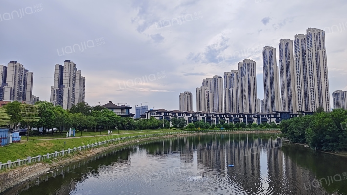 厦门院子泰禾首玺B区外景图