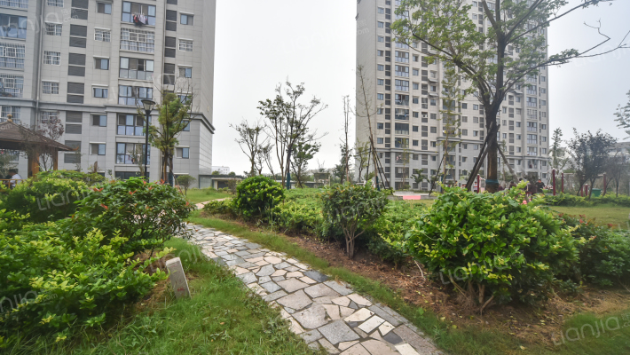 新河家园外景图