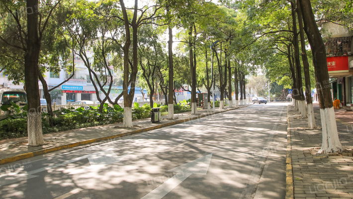 中山市南区星华路1-28号外景图