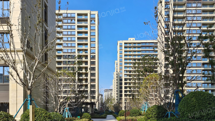 绿城明月江南外景图