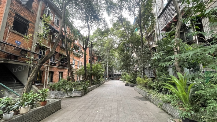 商业街41号外景图