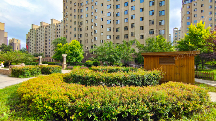 成涛绿锦国际外景图