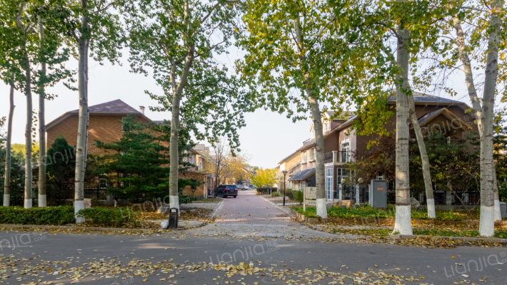 提香草堂外景图