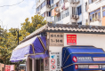 现代花园3