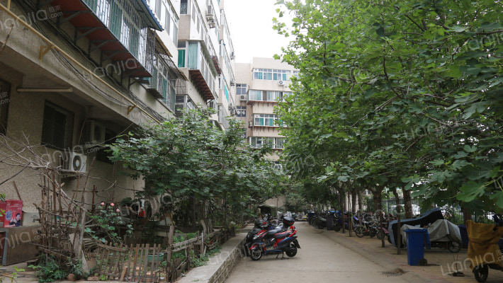 济齐路19号外景图