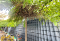 煤气公司家属院4