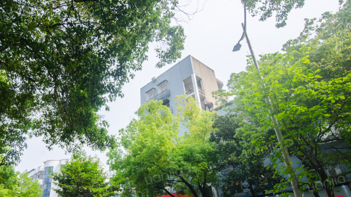 汉阳大街83号外景图