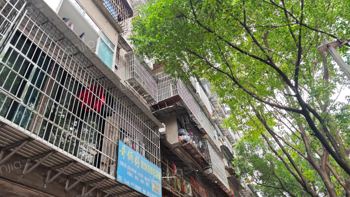 国本支路外景图