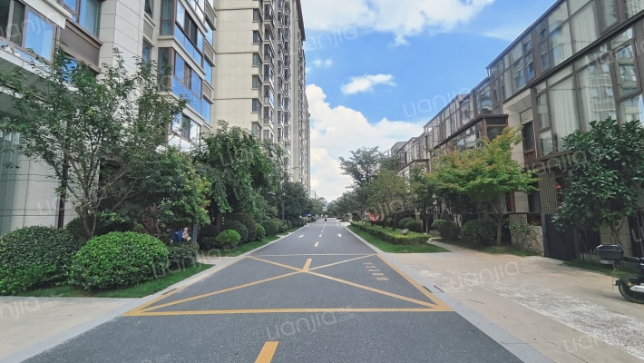 路劲远洋江南院子外景图