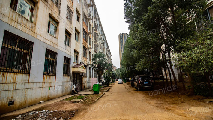 金谷明珠园外景图