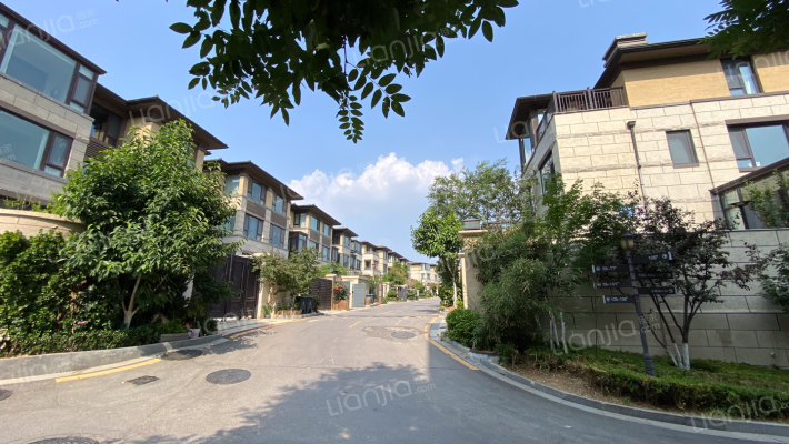 仰山云栖径外景图