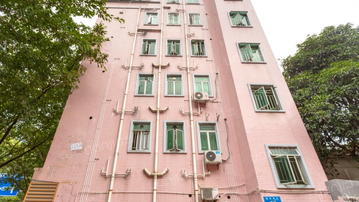 暗径西村11号外景图