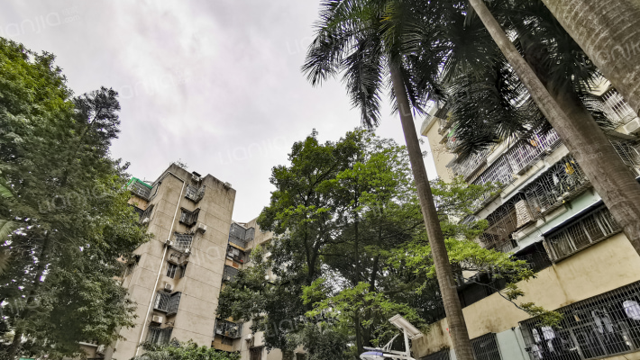 侨乐新村外景图