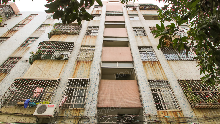 政通路16号外景图