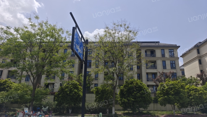 雨茗云舍外景图