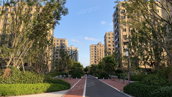 恒信崇文湖外景图