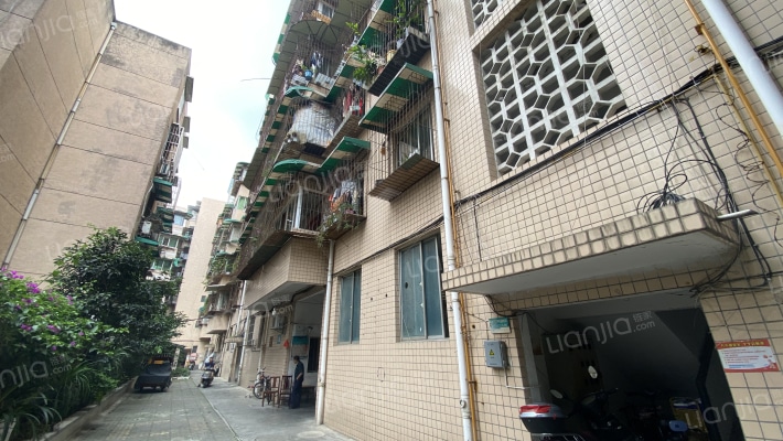 平安巷5号外景图