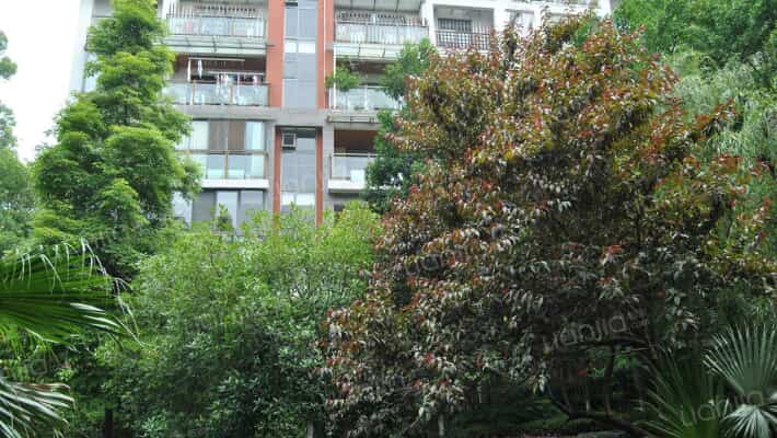 上东阳光林曦外景图