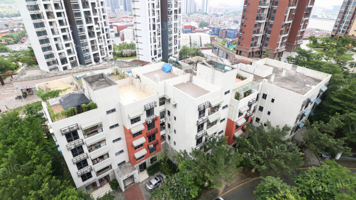 深大书香文苑外景图