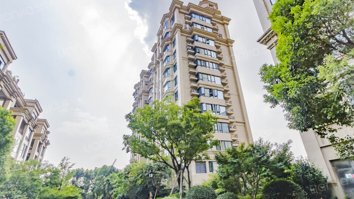 滨江首府外景图