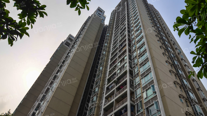 桂龙家园外景图